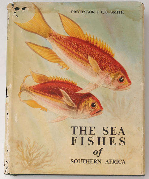 THE SEA FISHES OF SOUTHERN AFRICA - Smith - First Edition