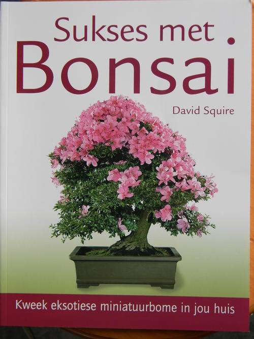 Sukses met Bonsai  by David Squire (158 pages )