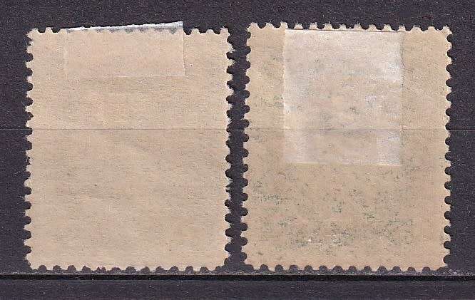 Bosnia 1900 classic Arms issue fine used Shade of 2k & 5k. M/H
