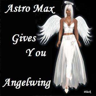 Angel Wings BLACK ideal for Parties, Function and Pride