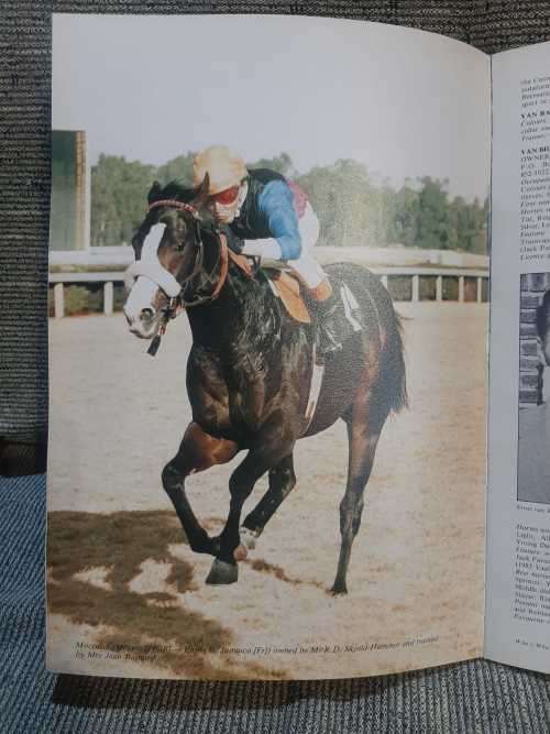 Who`s Who in South African horse racing.  1983/1984