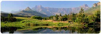 Drakensberg - Cayley Lodge Midweek (12 to 16 March)
