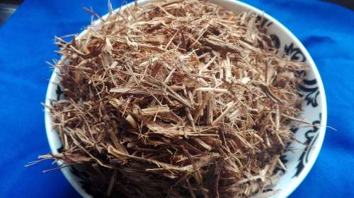 Banisteriopsis Caapi - Yellow Ayahuasca - 300g