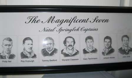 The Magnificent Seven Natal Spingbok Captains Framed