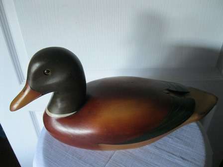 Limited Edition Feathers Of Knysna Millard Duck