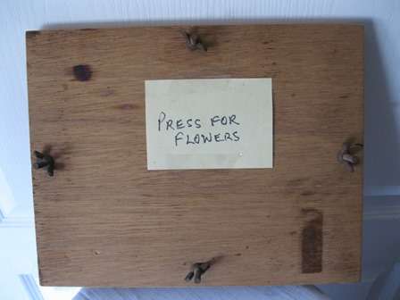Vintage Wooden Flower Press