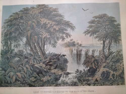 Set of 4 Thomas Baines Lithographs of The Victoria Falls