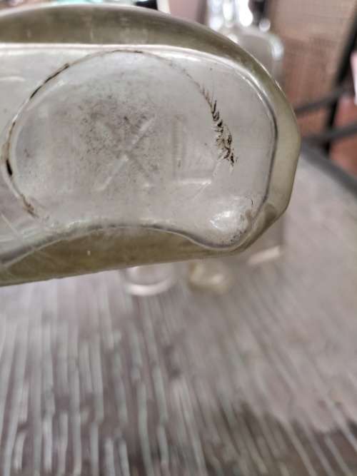 Group of  Clear Vintage Anthropology Bottles