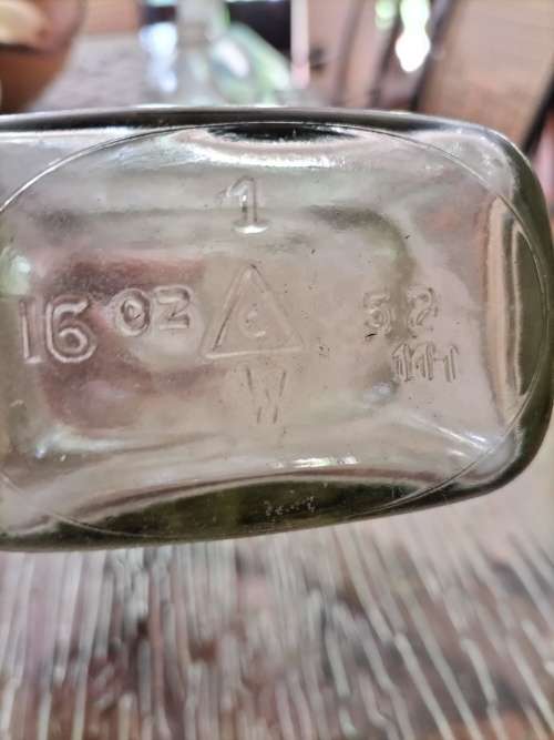 Group of  Clear Vintage Anthropology Bottles