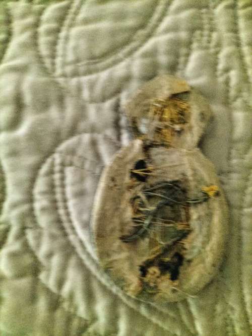 RARE RIFLE ASSOCIATION 1956 BADGE