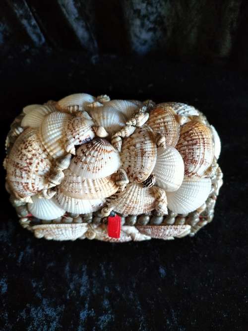 Shell Trrinket Box