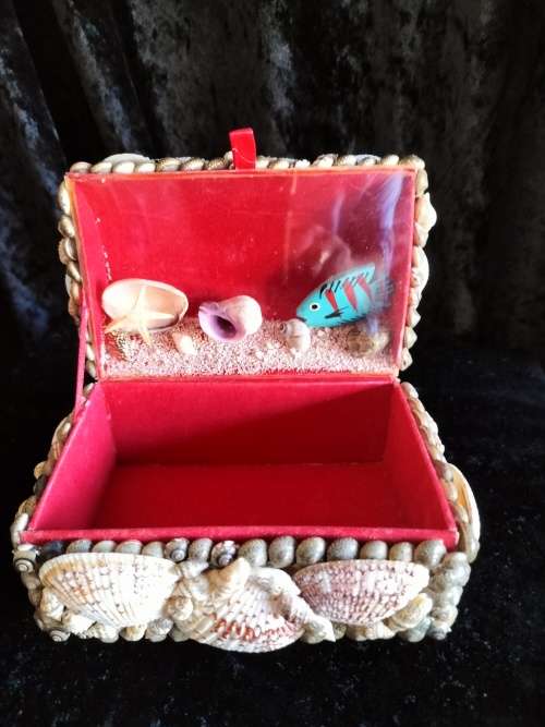 Shell Trrinket Box