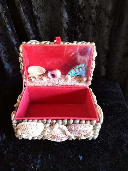 Shell Trrinket Box