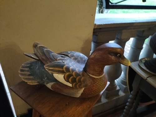 Large Wooden Duck