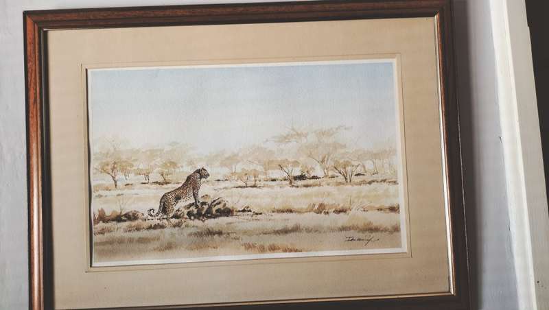 Ian van Zyl Framed Watercolour Painting of a Cheetah