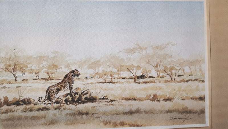 Ian van Zyl Framed Watercolour Painting of a Cheetah