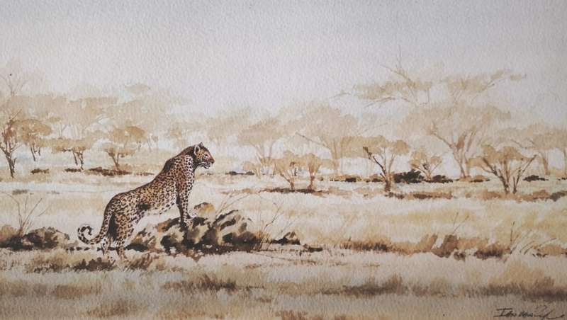 Ian van Zyl Framed Watercolour Painting of a Cheetah
