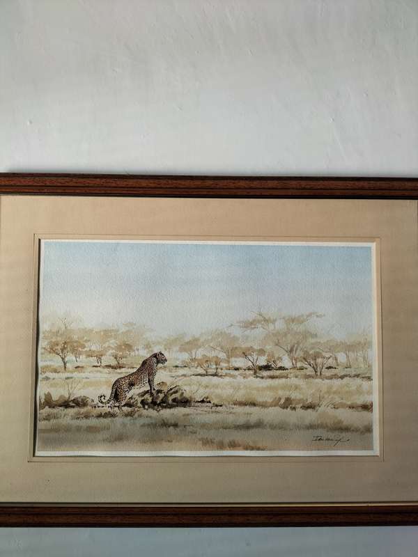 Ian van Zyl Framed Watercolour Painting of a Cheetah
