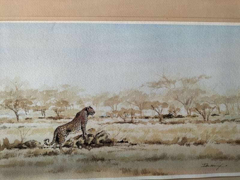 Ian van Zyl Framed Watercolour Painting of a Cheetah