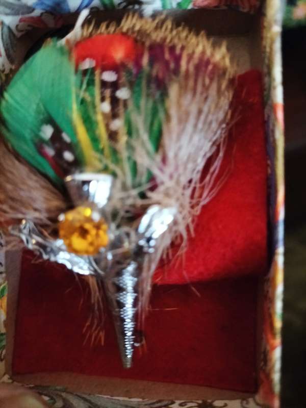 Scottish Plume Brooch