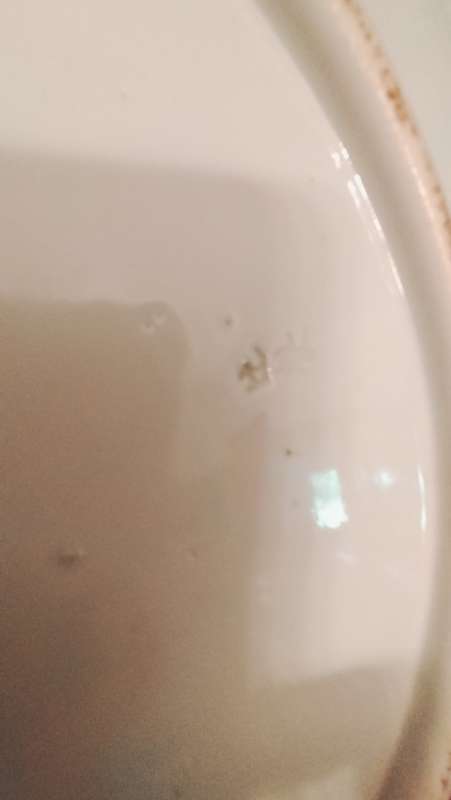 Large Oriental  Decorative Plate