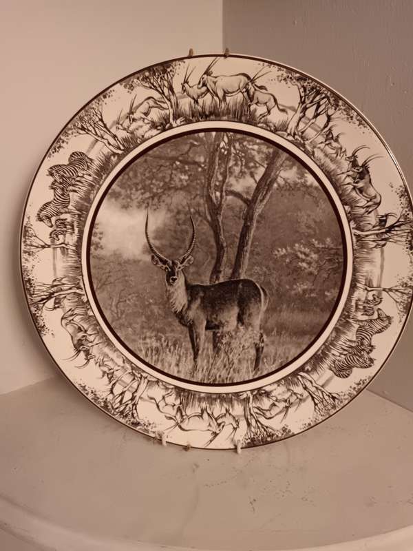 Royal Doulton SA series Waterbuck in Dark Brown & Black Rare