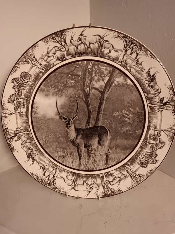 Royal Doulton SA series Waterbuck in Dark Brown & Black Rare