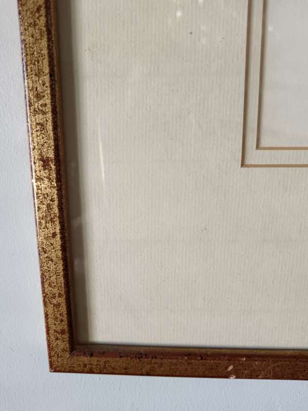 Framed Botanical Print of Amaryllis Flower