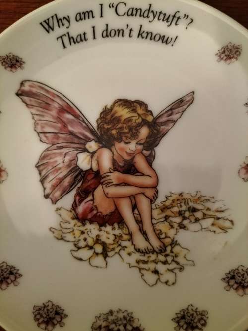 Set of 3 Flower Fairies Plate by Vicky Mary Barker