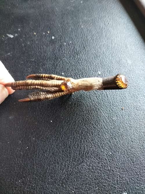 Antique Scottish Grouse Claw Brooch with Citrines and silver trimmings.