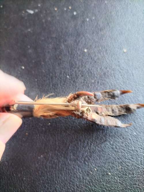 Antique Scottish Grouse Claw Brooch with Citrines and silver trimmings.