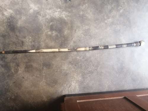 Horn Walking Stick