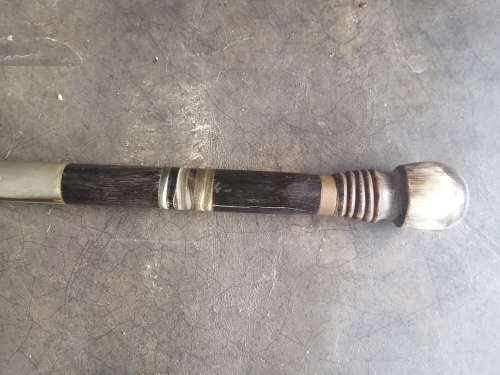 Horn Walking Stick
