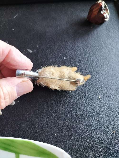 Scottish Grouse Claw Brooch with Citrine Stone