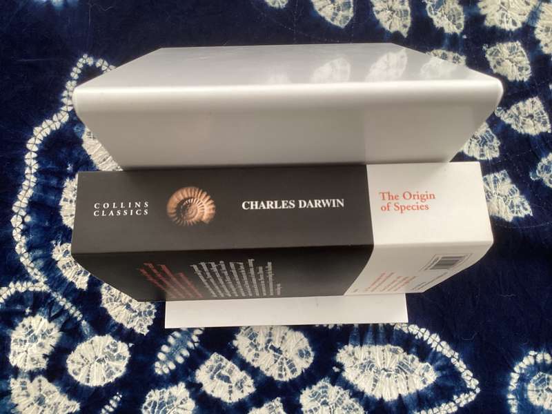 Charles Darwin. The Origin of Species. Collins Classic paperback, New Condition.