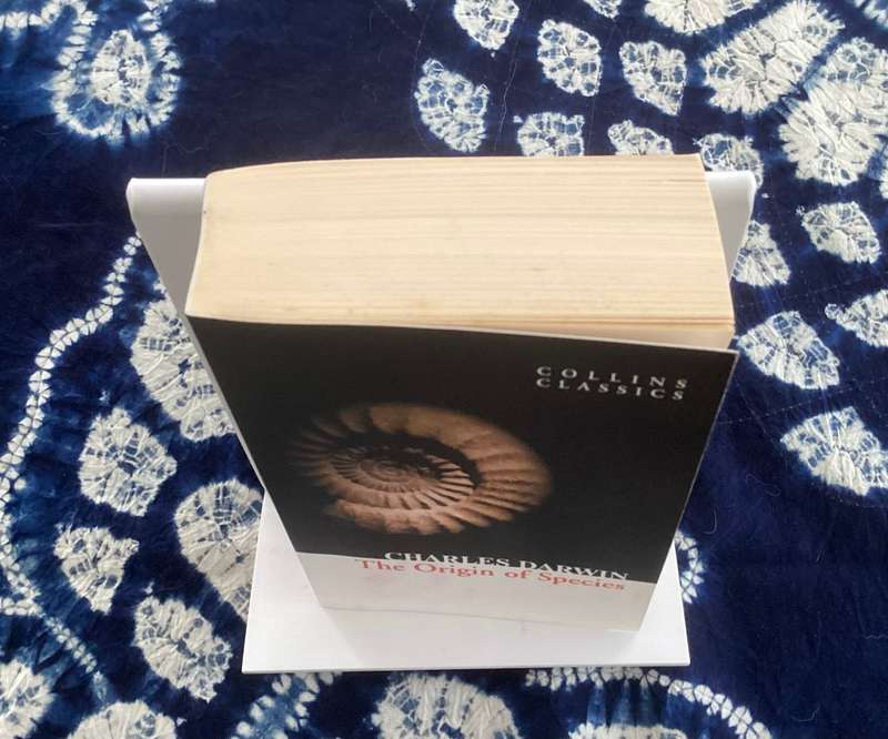 Charles Darwin. The Origin of Species. Collins Classic paperback, New Condition.