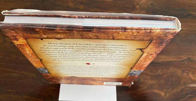 The Illustrated Pirate Diaries. Hardcover. Book in a beautiful condition. First Edition.