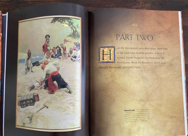 The Illustrated Pirate Diaries. Hardcover. Book in a beautiful condition. First Edition.