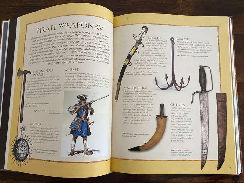 The Illustrated Pirate Diaries. Hardcover. Book in a beautiful condition. First Edition.