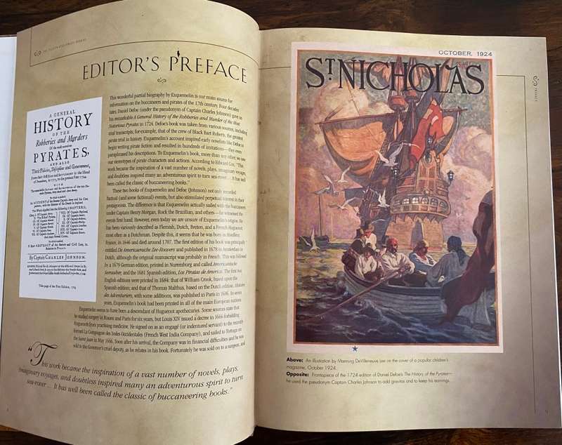 The Illustrated Pirate Diaries. Hardcover. Book in a beautiful condition. First Edition.