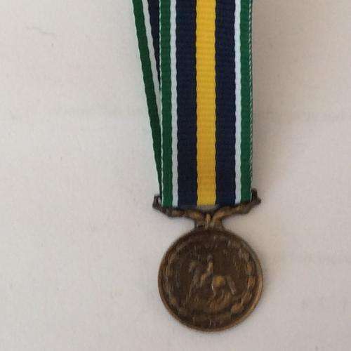 De wet medal miniature