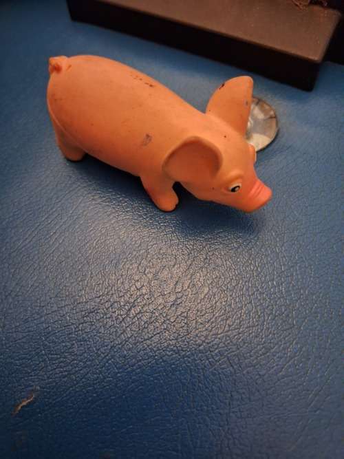 ANIMAL FARM KIDS Piggy kids toys