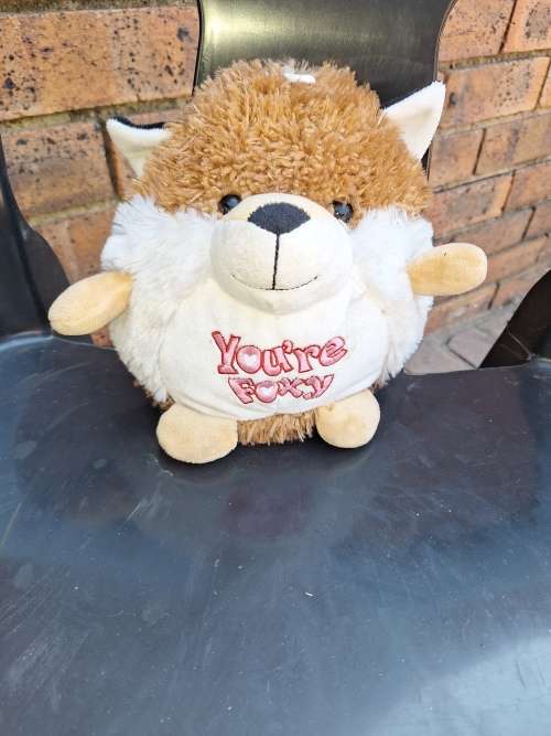 Teddy Foxy