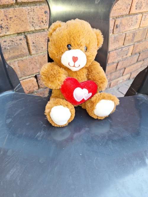 Teddy heart