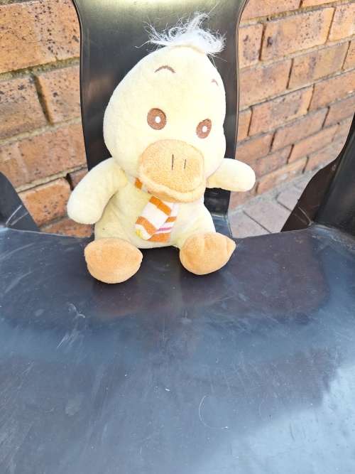 Teddy duck