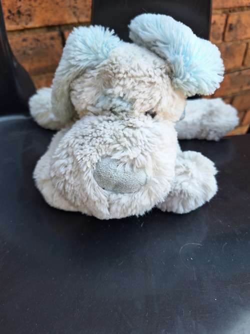 Teddy doggie