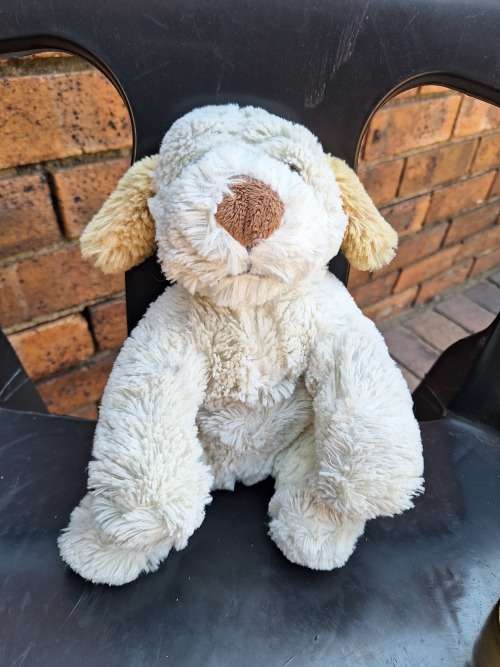 Teddy Doggie