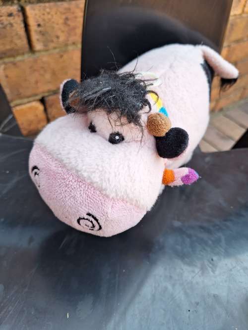 Teddy Hippo
