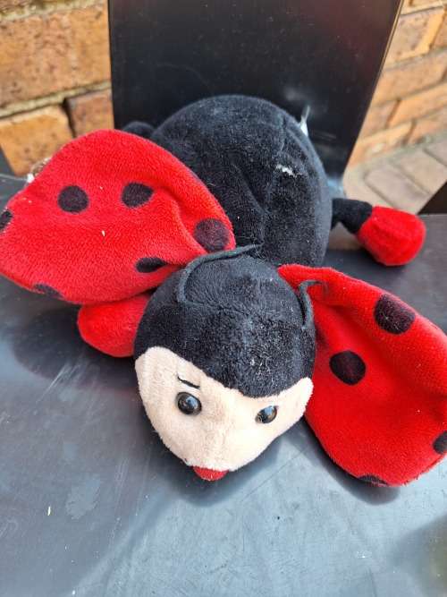 TEDDY KIDS TOYS FLUFFY AND SOFT Lady Bug Teddy