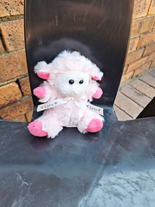 Teddy Kids Children Teddy Fluffy Toys  Pink I love you